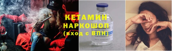 индика Алзамай