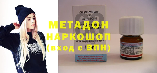 индика Алзамай