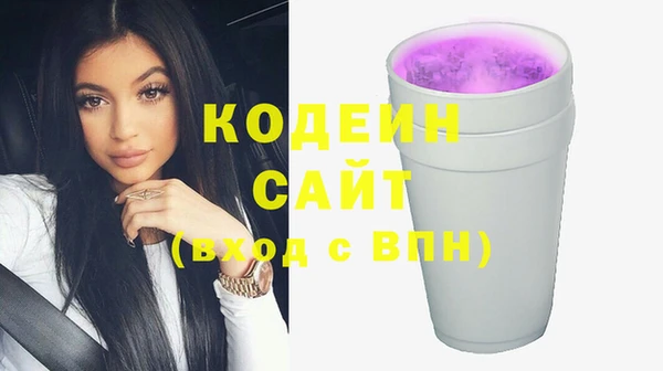 индика Алзамай