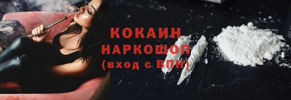 индика Алзамай