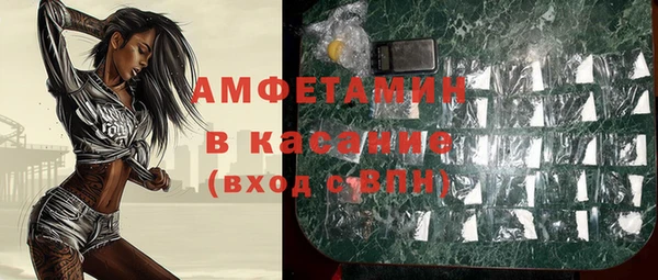 индика Алзамай
