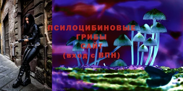 ешки Алексин