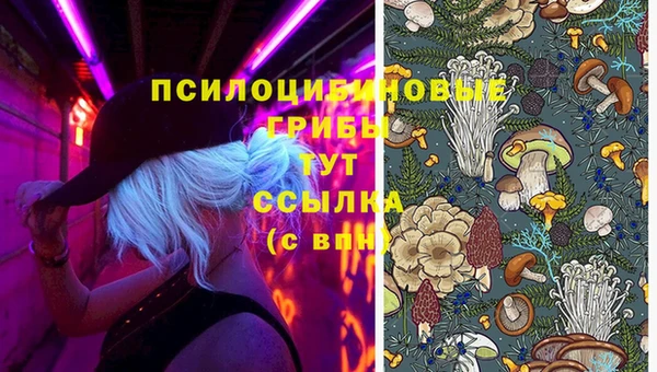 мескалин Алексеевка