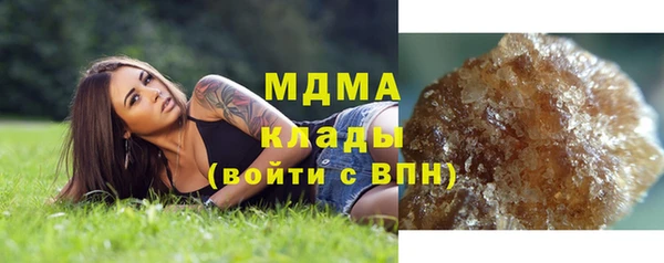 индика Алзамай