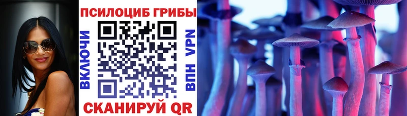 Псилоцибиновые грибы MAGIC MUSHROOMS  купить  сайты  кракен зеркало  Любим 